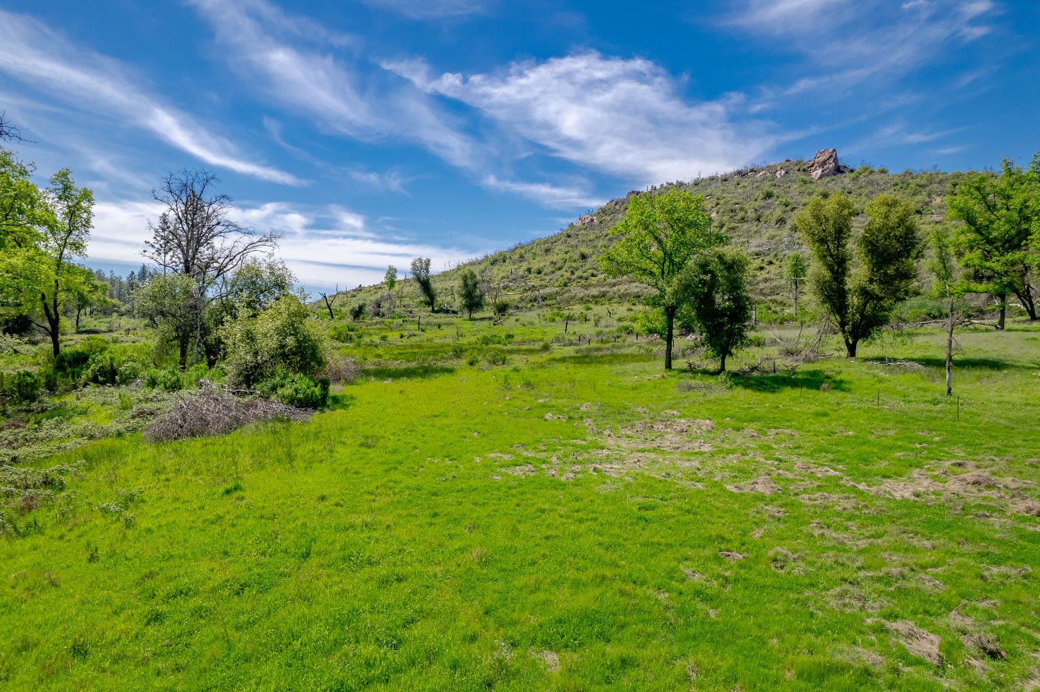 11923 Loma Rica Road