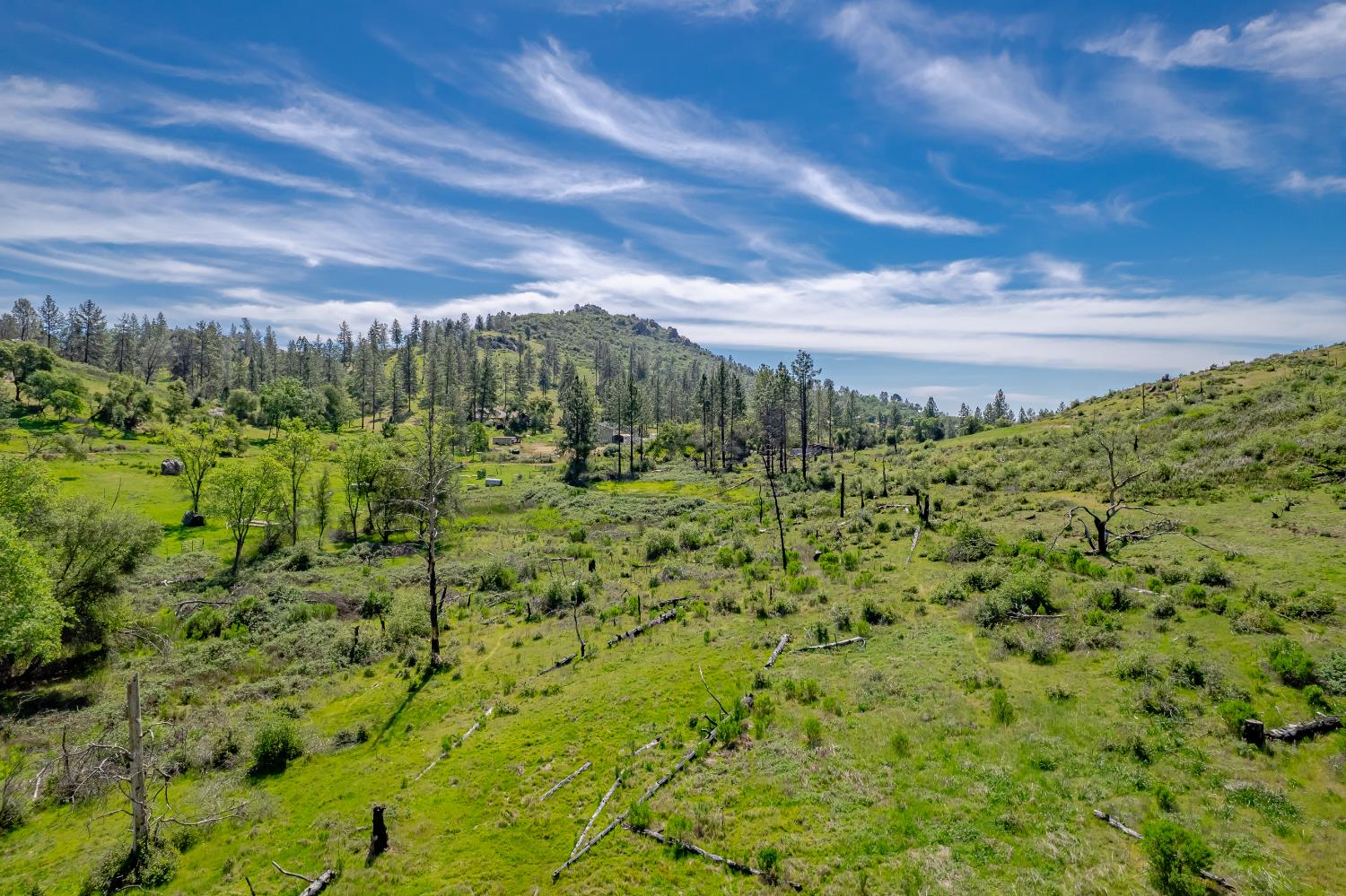 11923 Loma Rica Road