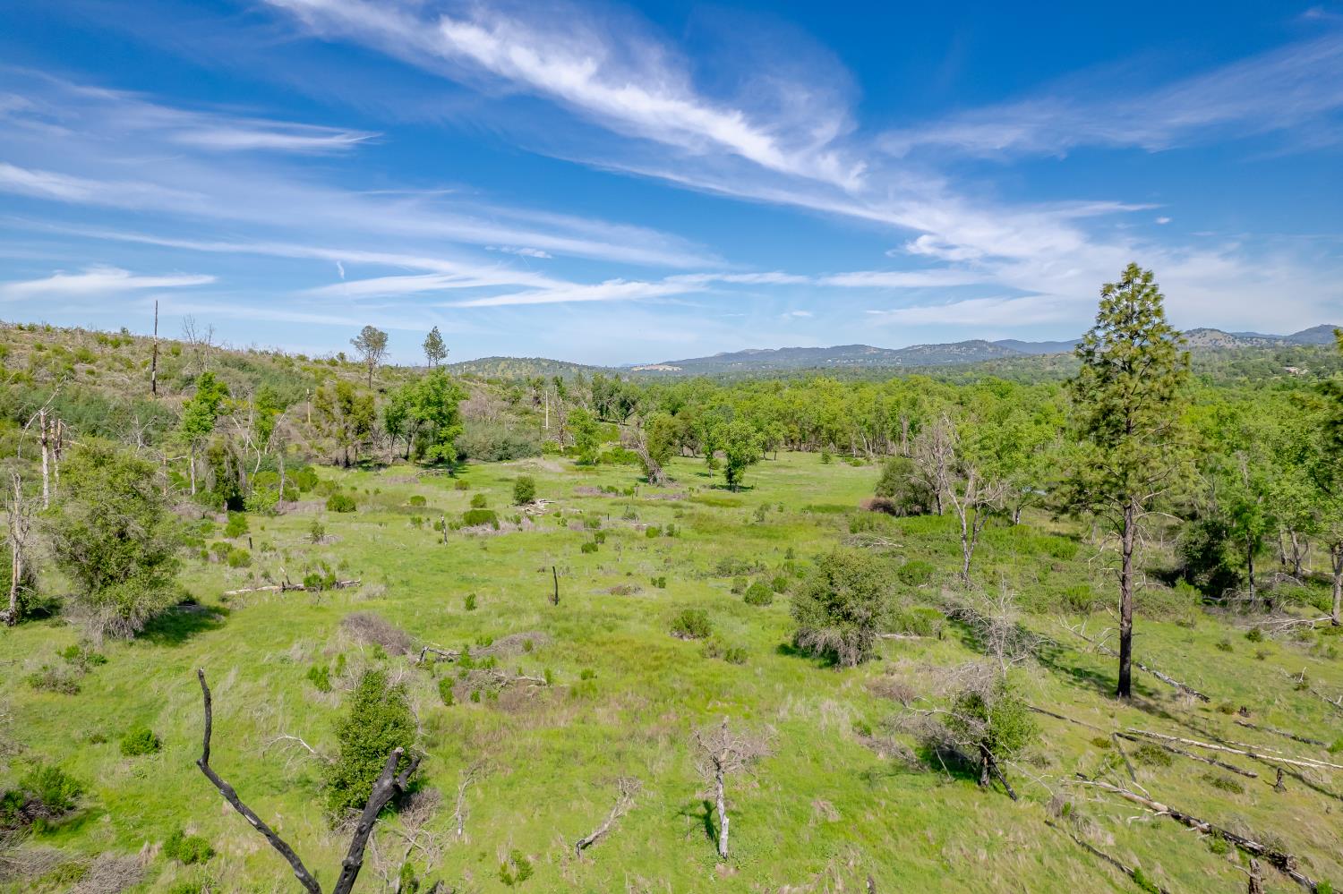 11923 Loma Rica Road