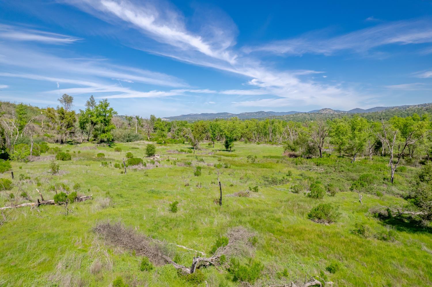 11923 Loma Rica Road