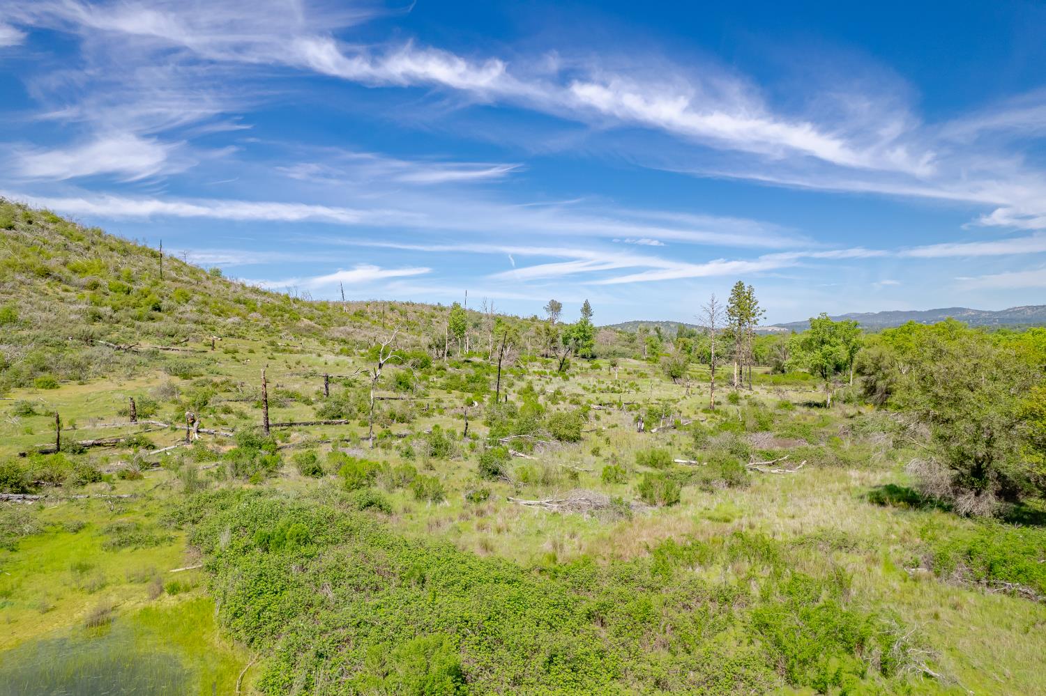 11923 Loma Rica Road