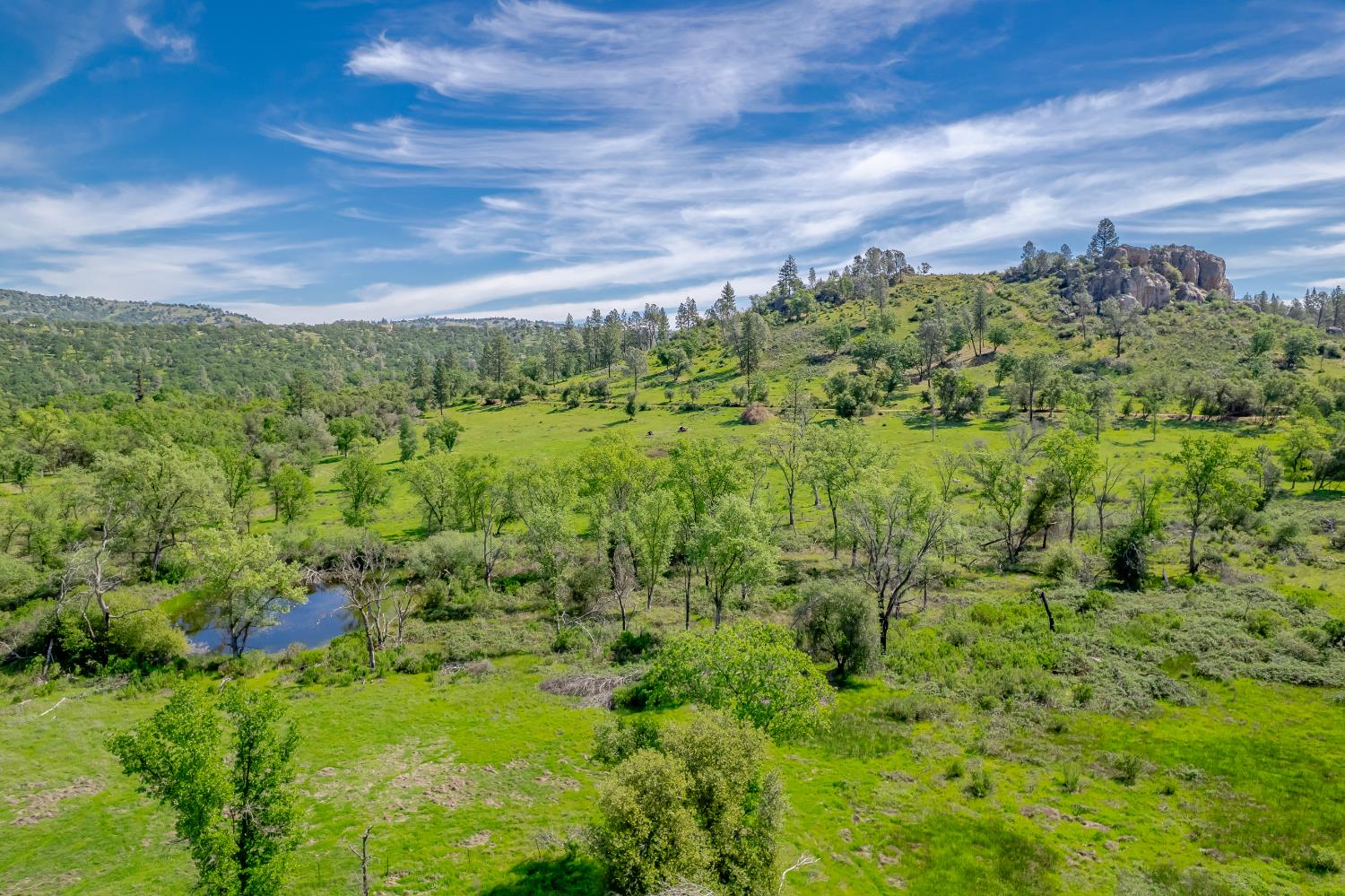 11923 Loma Rica Road