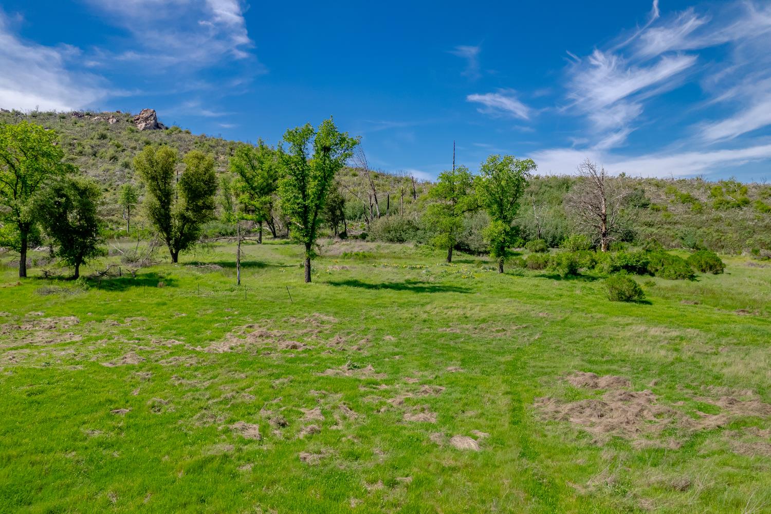 11923 Loma Rica Road