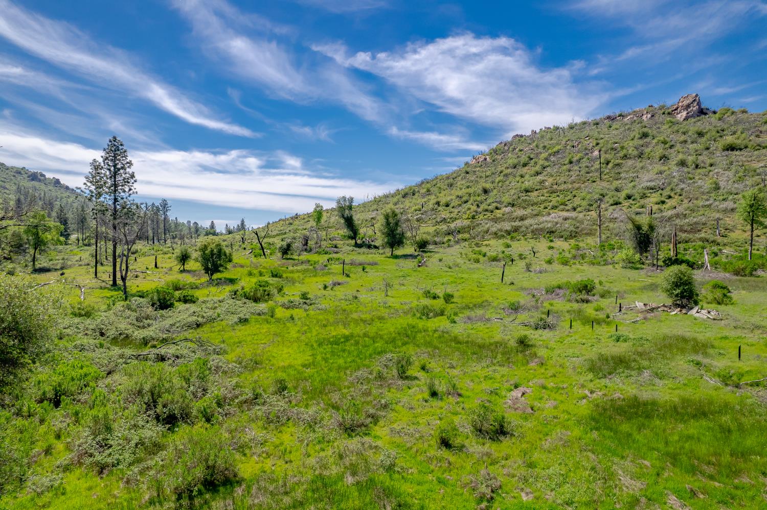 11923 Loma Rica Road