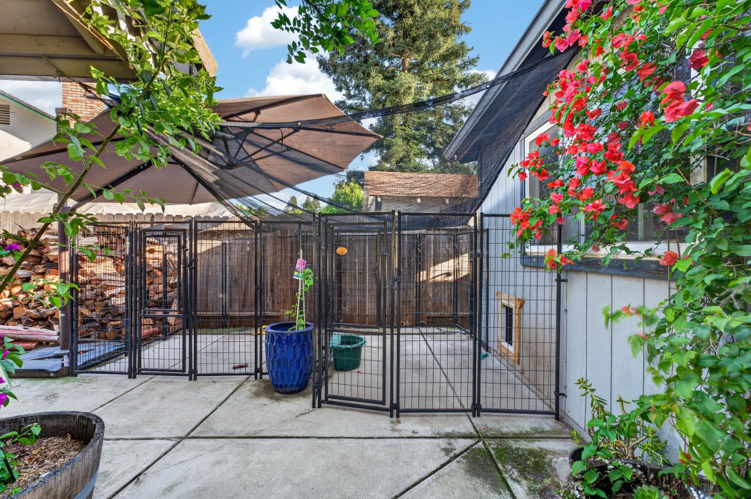 1379 Zephyr Drive