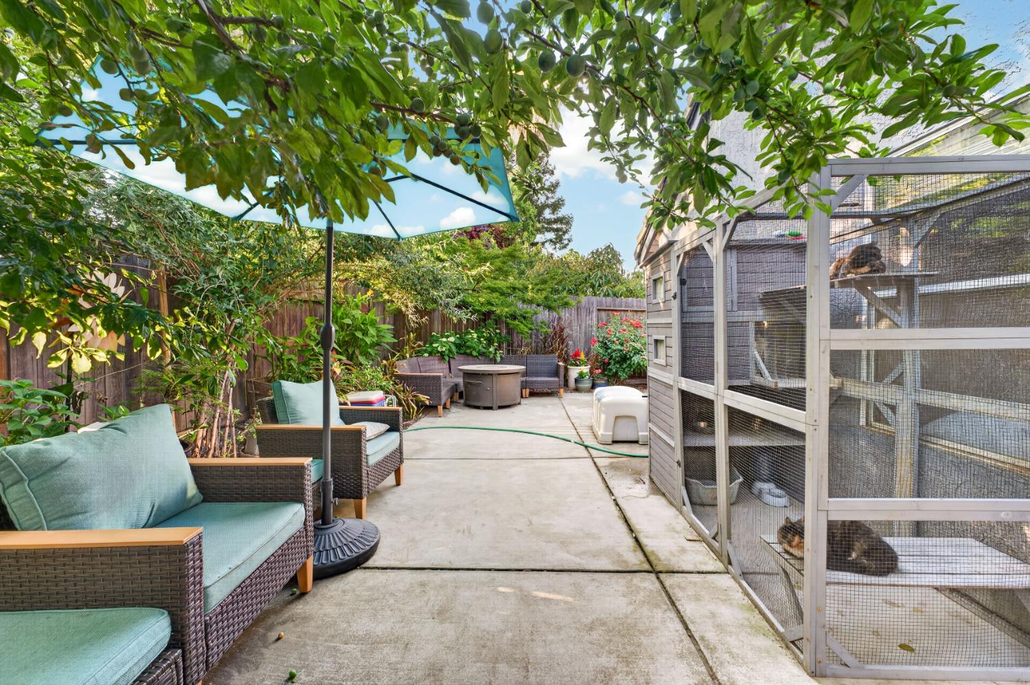 1379 Zephyr Drive
