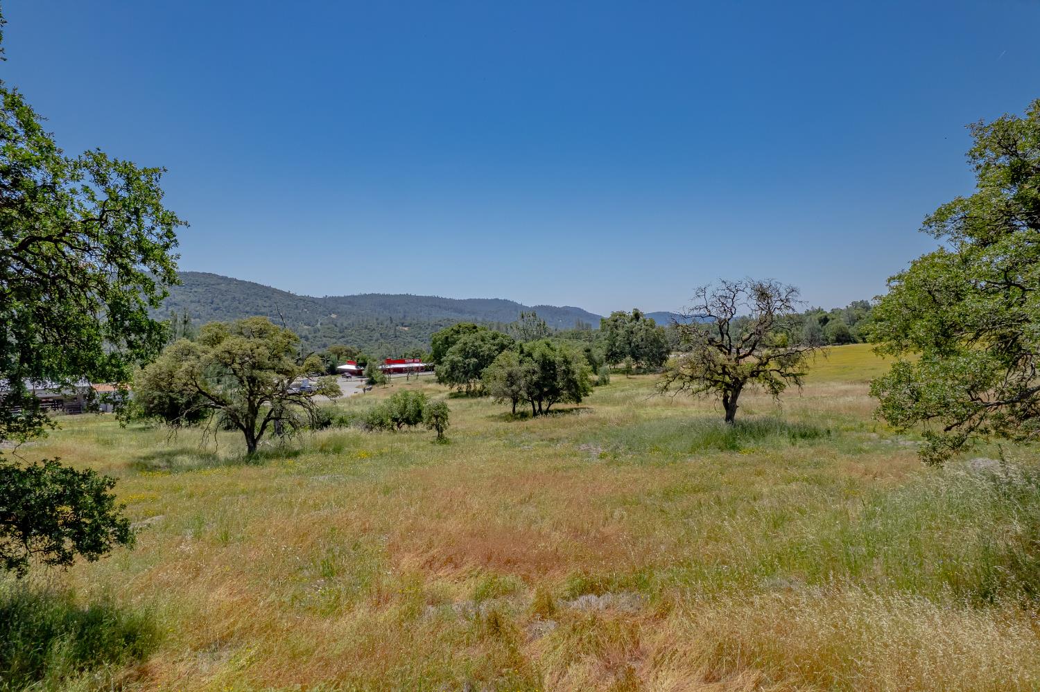 13812 Willow Glen Road