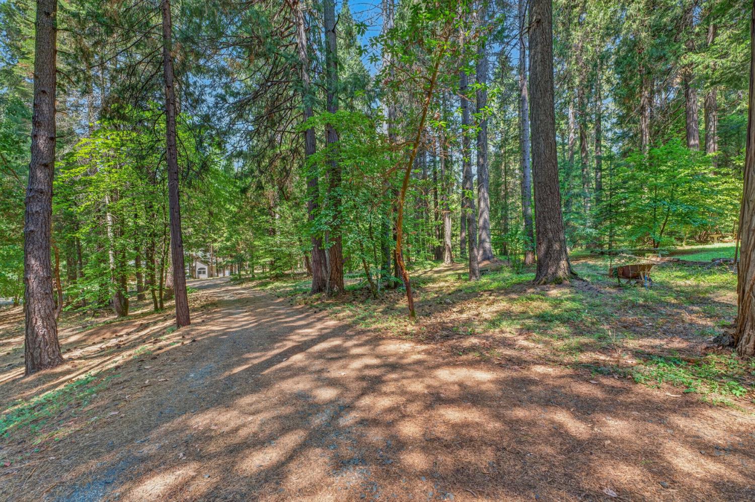 17089 Whispering Pines Way