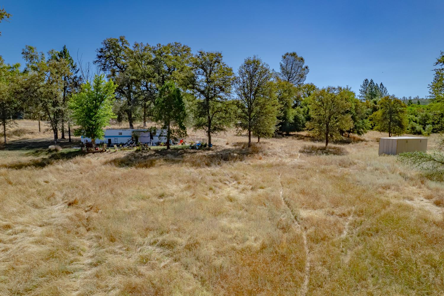 Dry grassy acreage with a white trailer, scattered trees, and a detached storage shed.