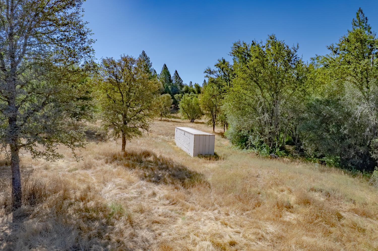 Grassy rural clearing with a small white storage shed among surrounding trees.