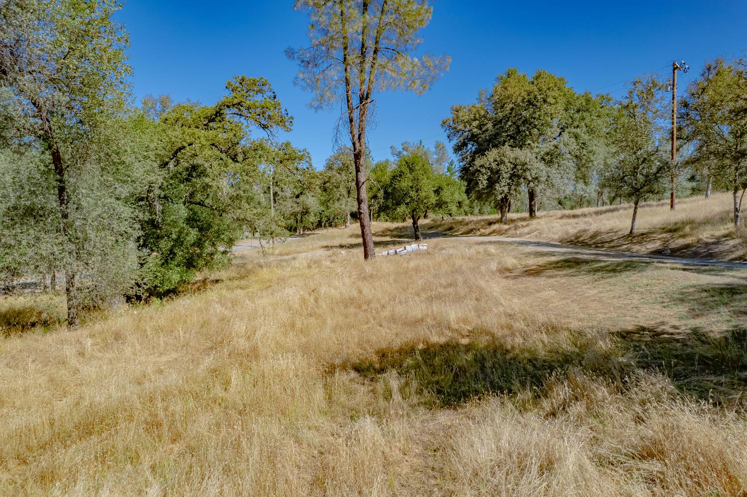 Rural property with a curving paved driveway through dry grass and mature trees.
