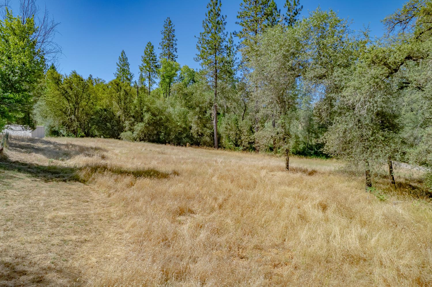 Grassy vacant parcel bordered by mature trees, with a small shed at the left edge.