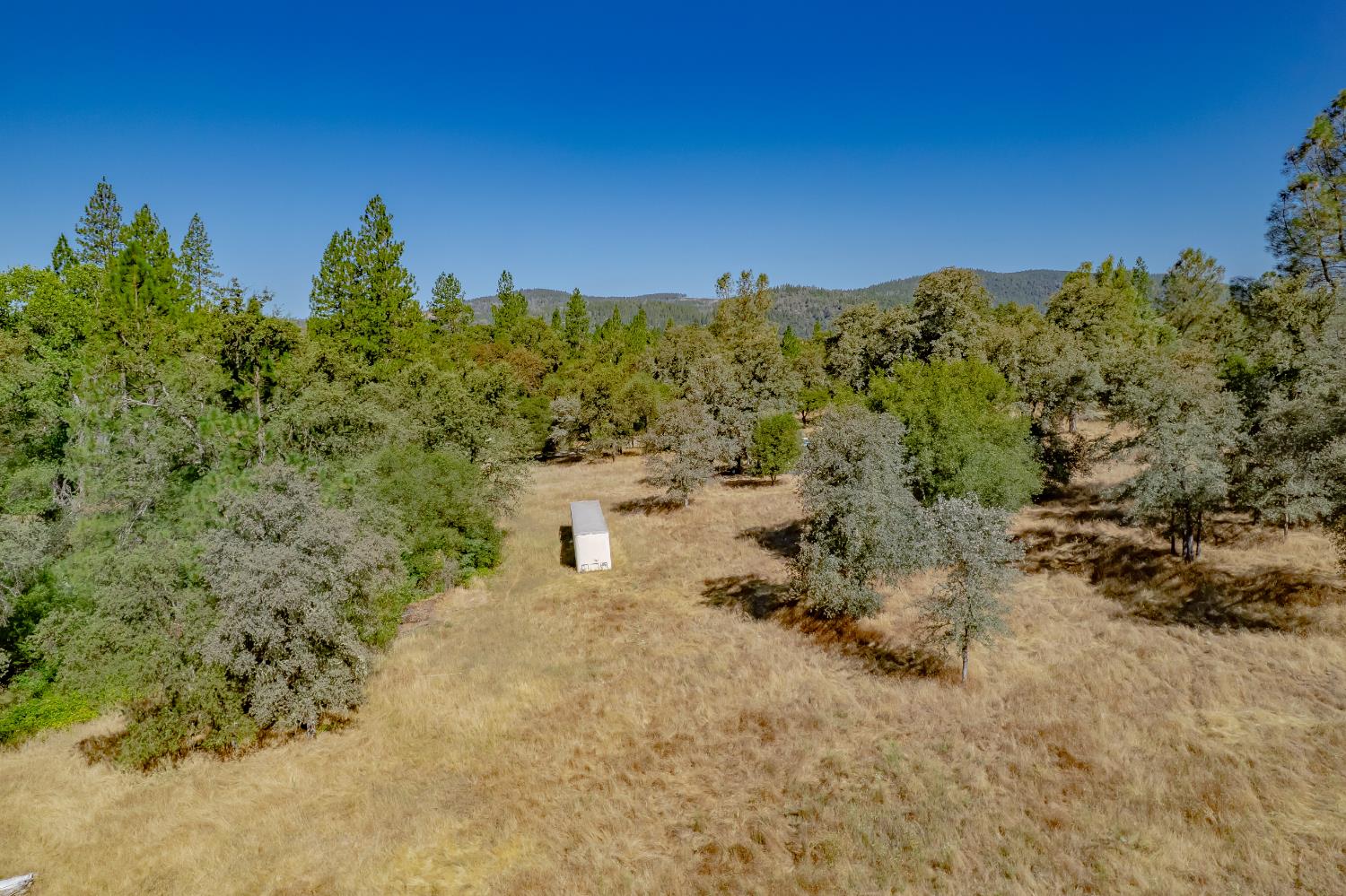 Aerial view of a dry grassy clearing with scattered trees and a small white shed.