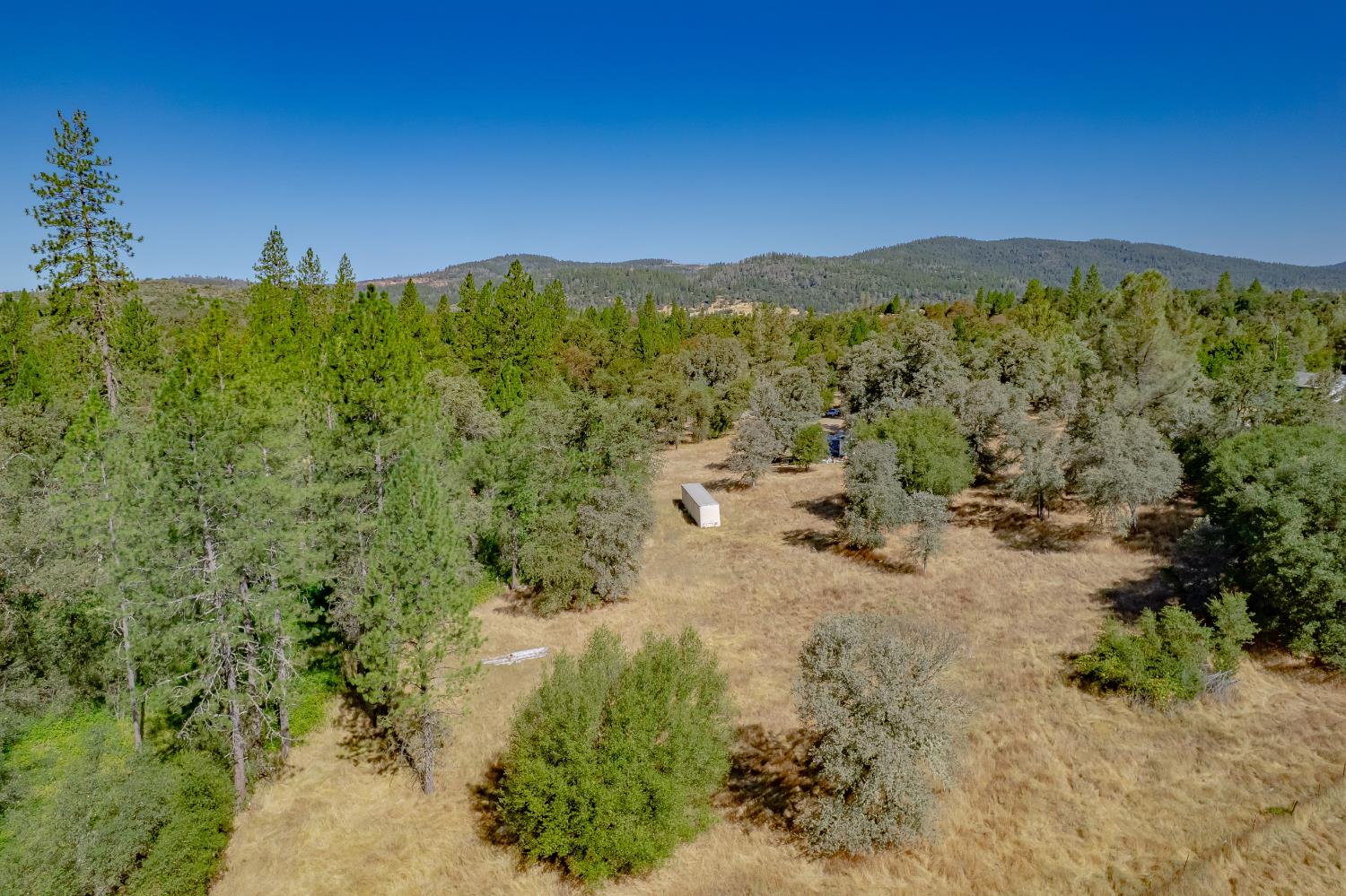 Rural property clearing with scattered trees, a small white outbuilding, and forested hills beyond.
