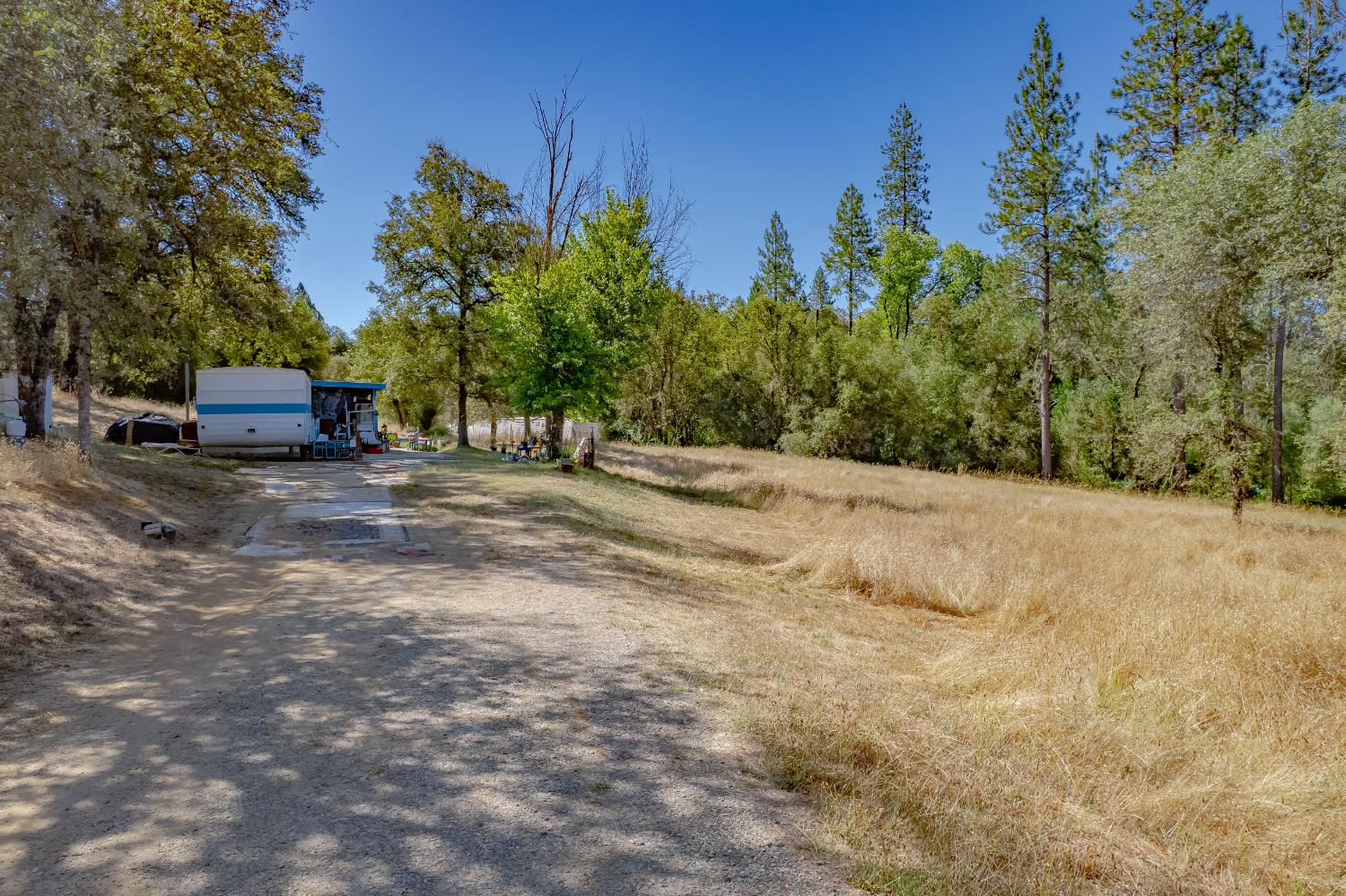 Rural property with a gravel driveway, travel trailer, dry grass, and mature trees.