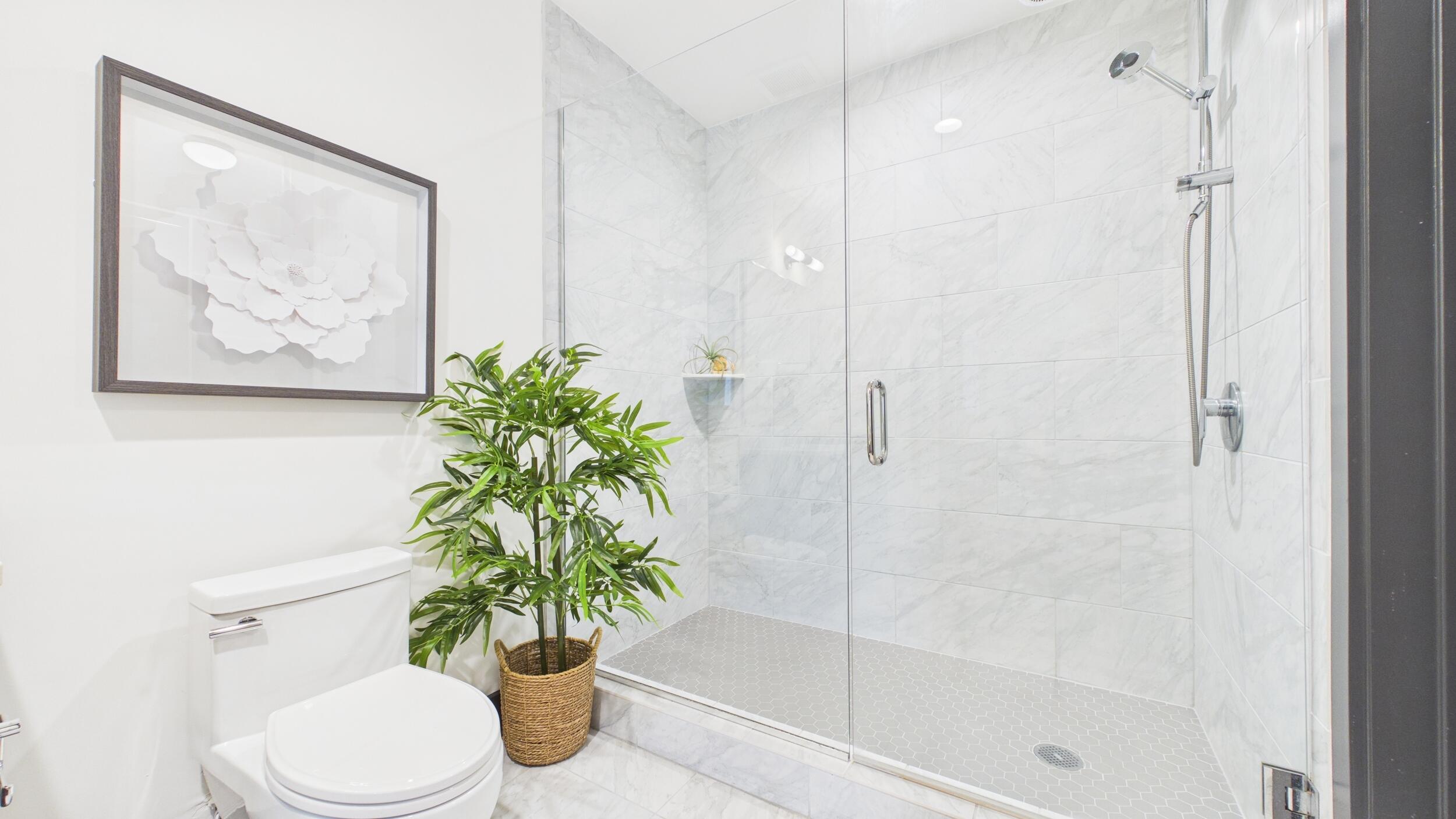 5 Gadsdenboro Street Apt 212