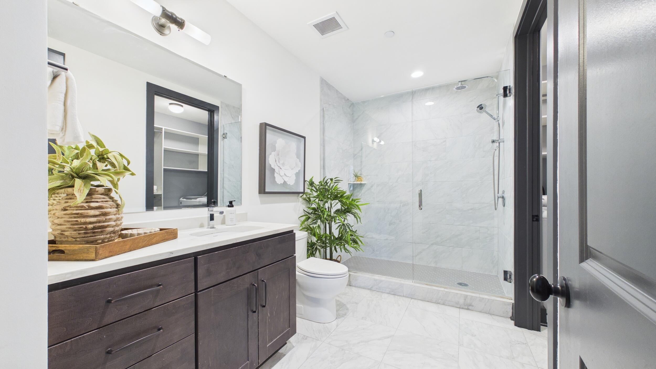 5 Gadsdenboro Street Apt 212
