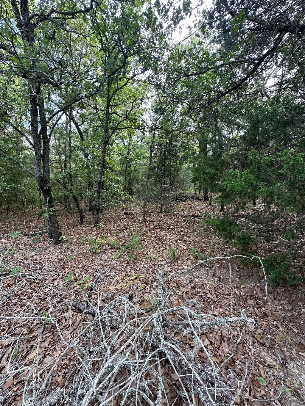 145 Private Road 6070