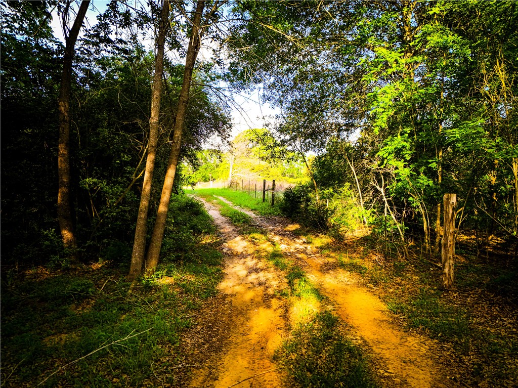 9997 County Road 324 