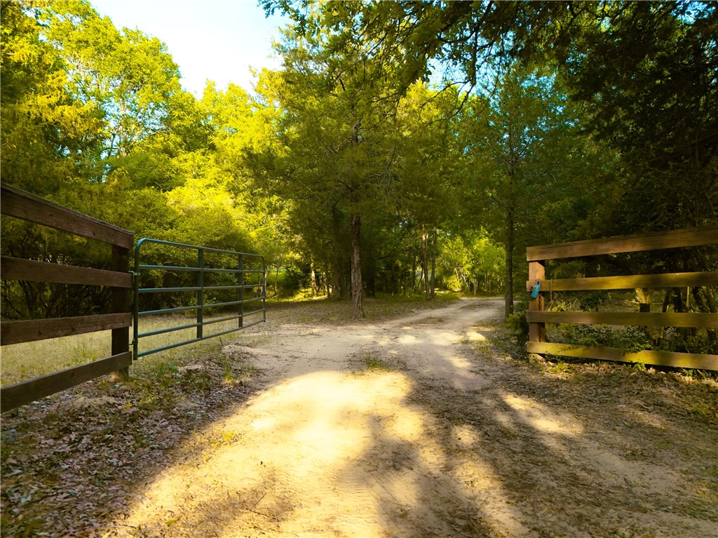 9997 County Road 324 