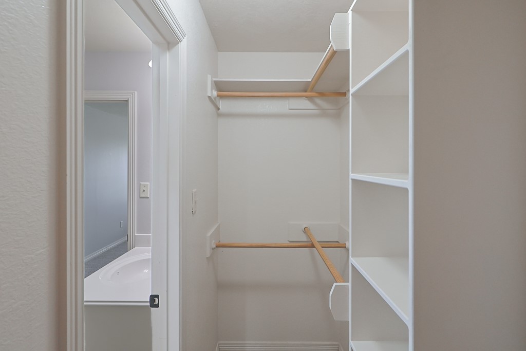 2915 Horseback Court