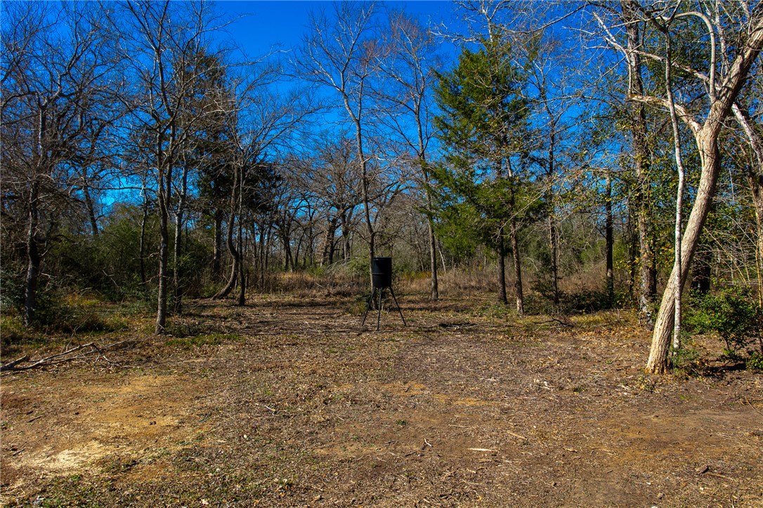 651 County Road 379