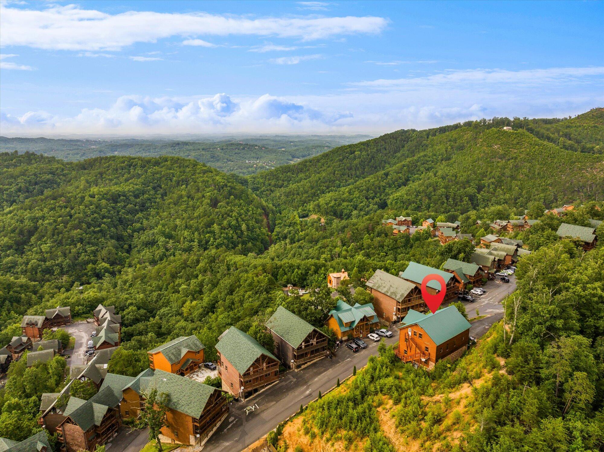 953 Black Bear Cub Way