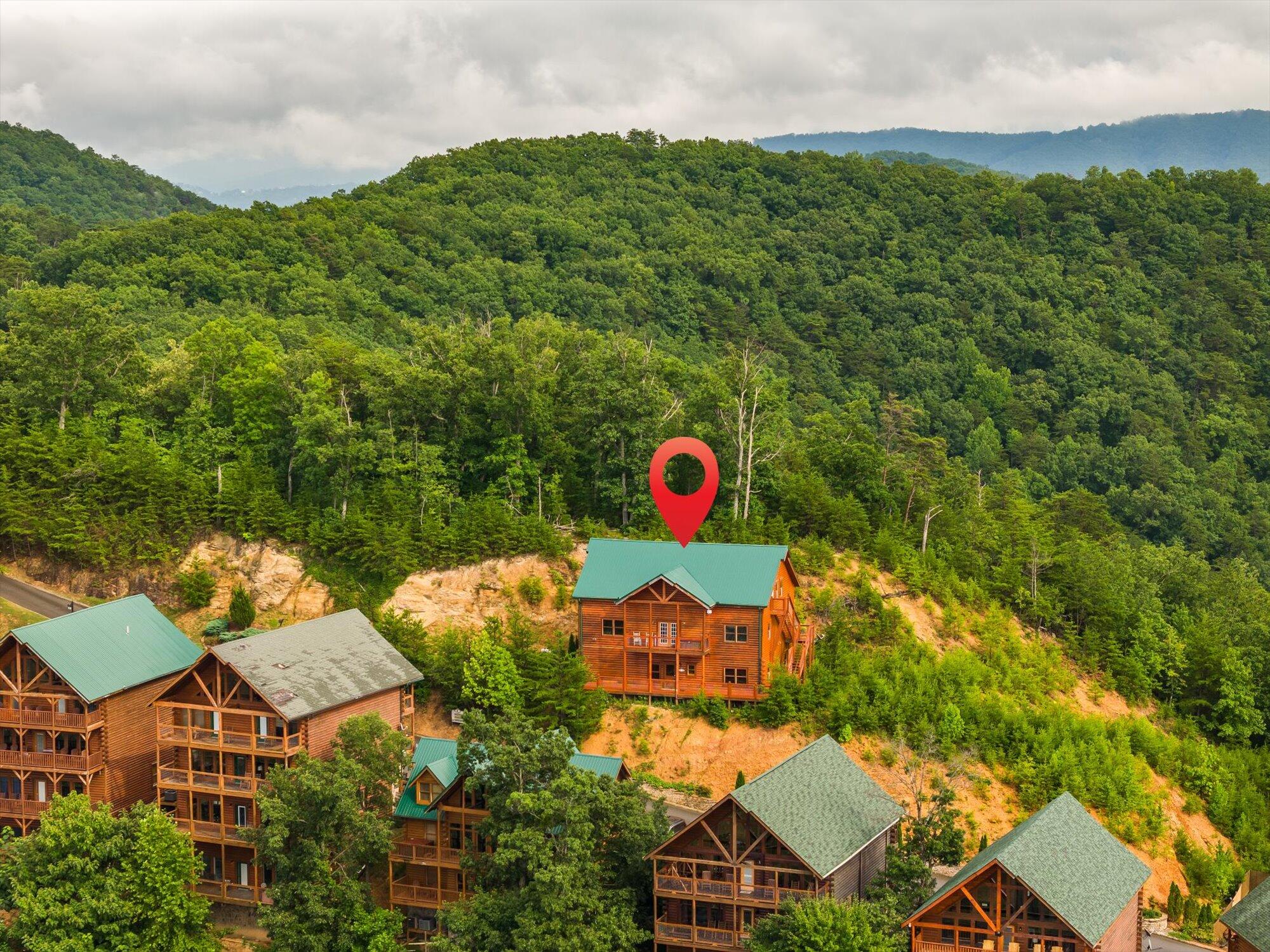 953 Black Bear Cub Way