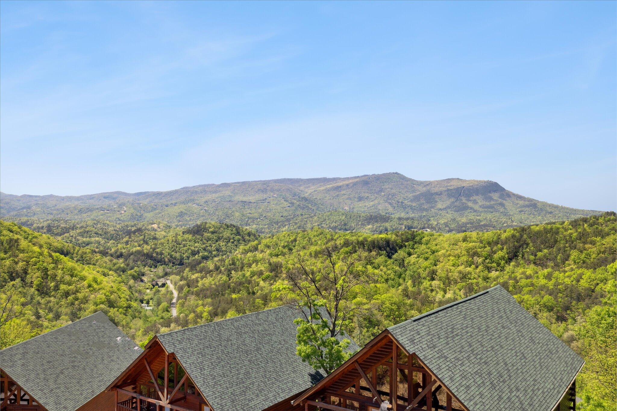 953 Black Bear Cub Way