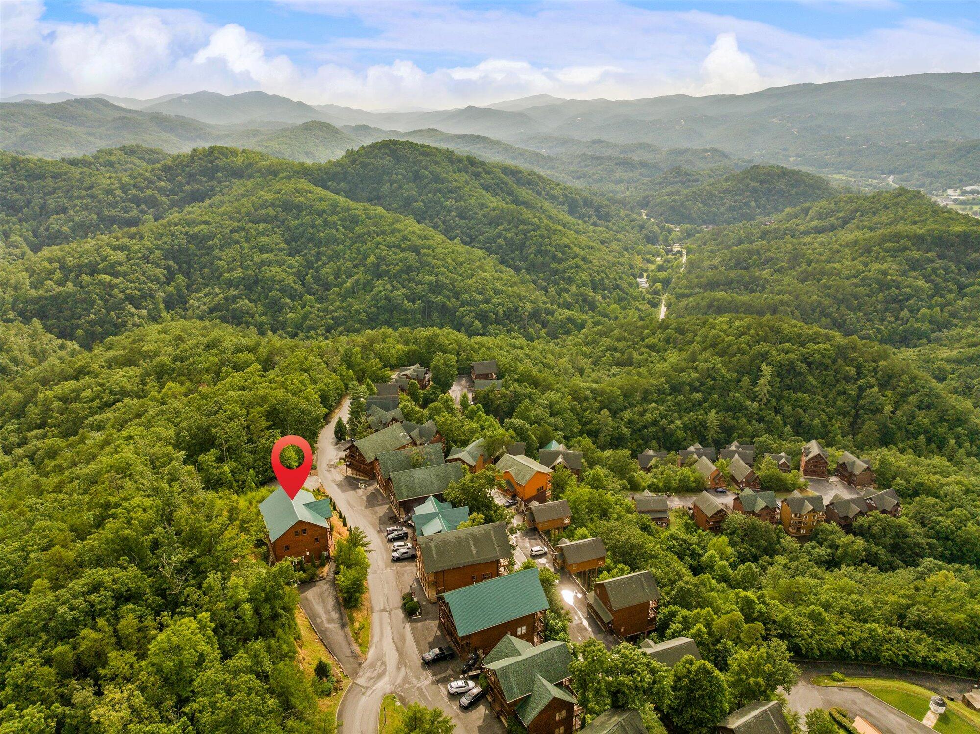 953 Black Bear Cub Way