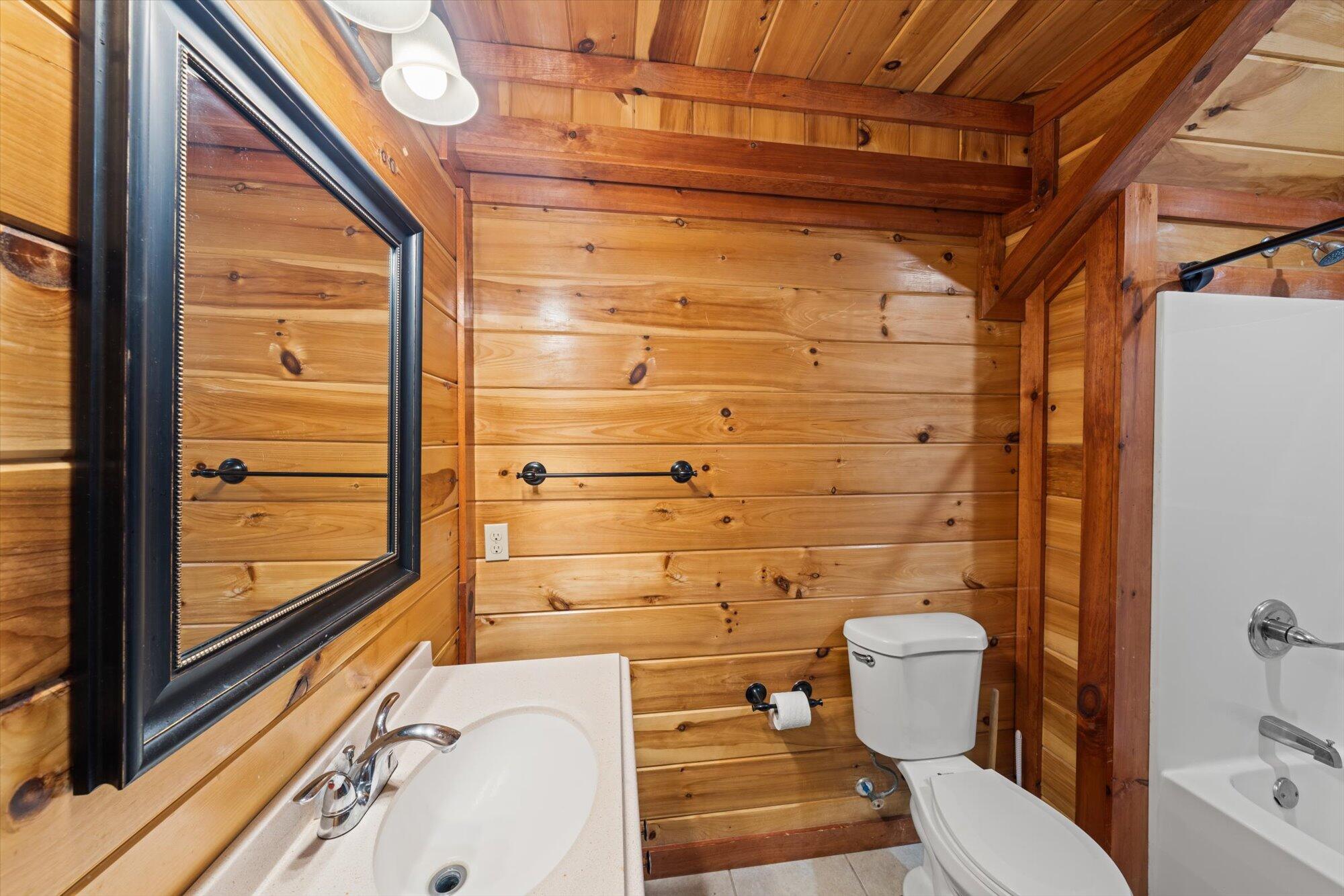 953 Black Bear Cub Way