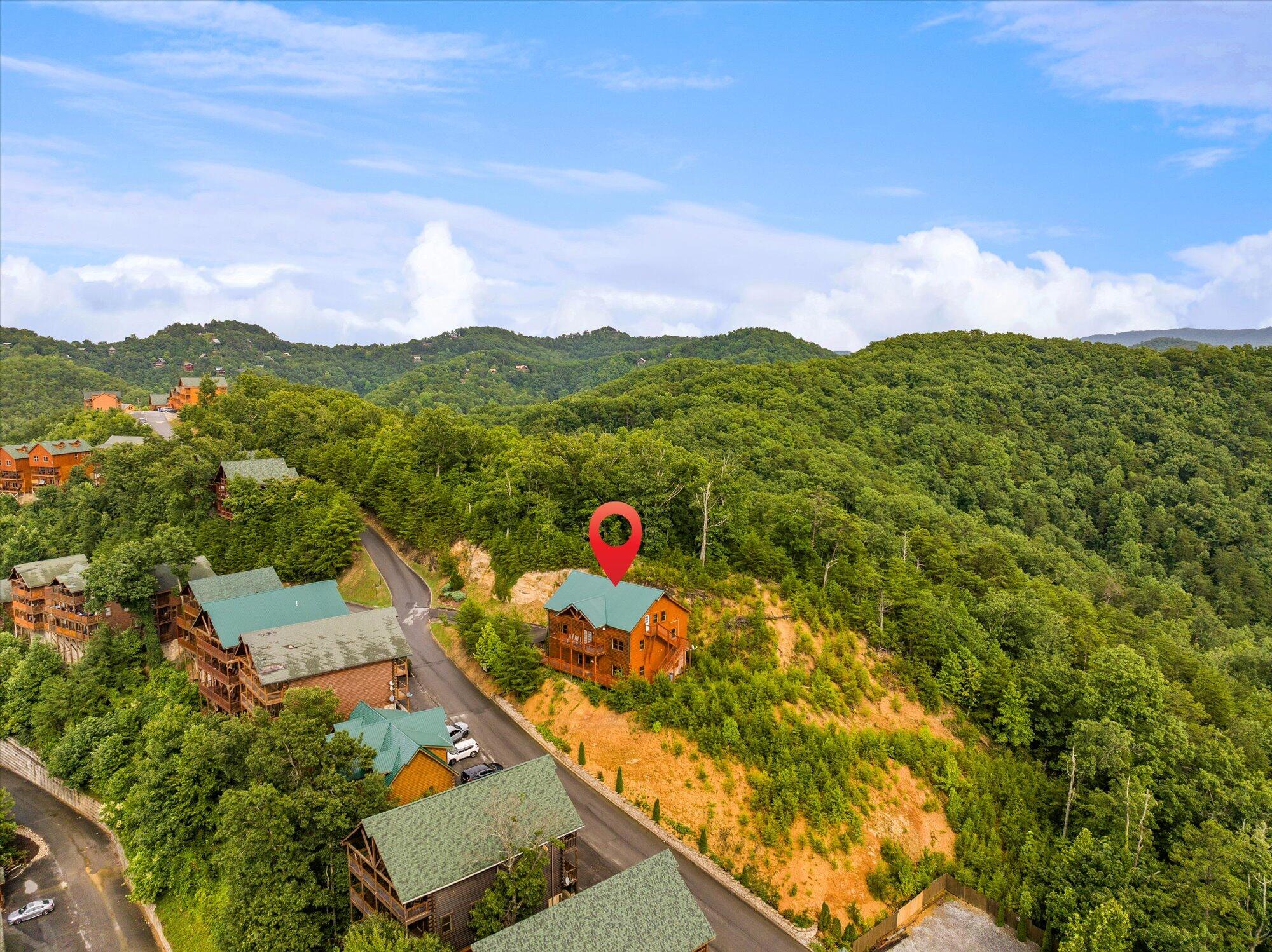 953 Black Bear Cub Way