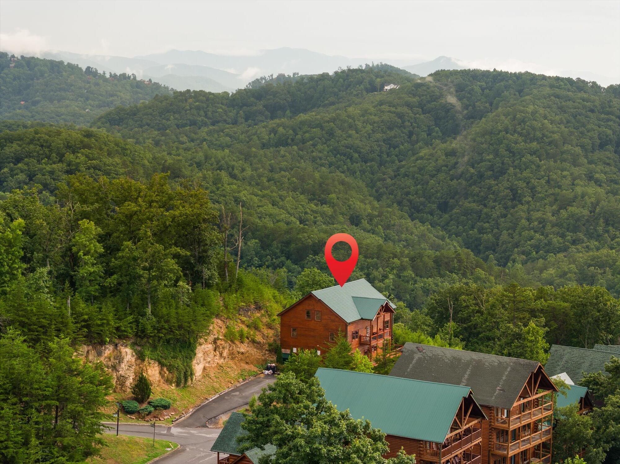 953 Black Bear Cub Way