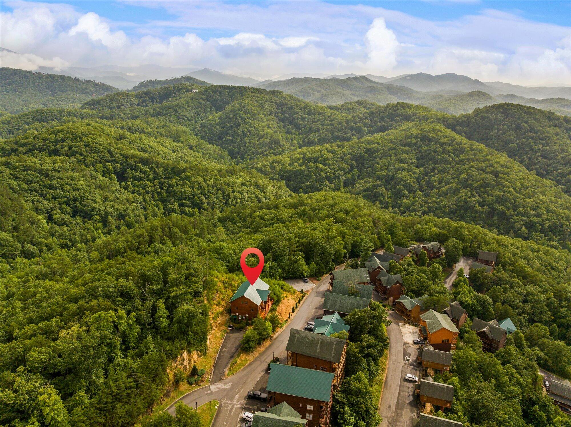 953 Black Bear Cub Way