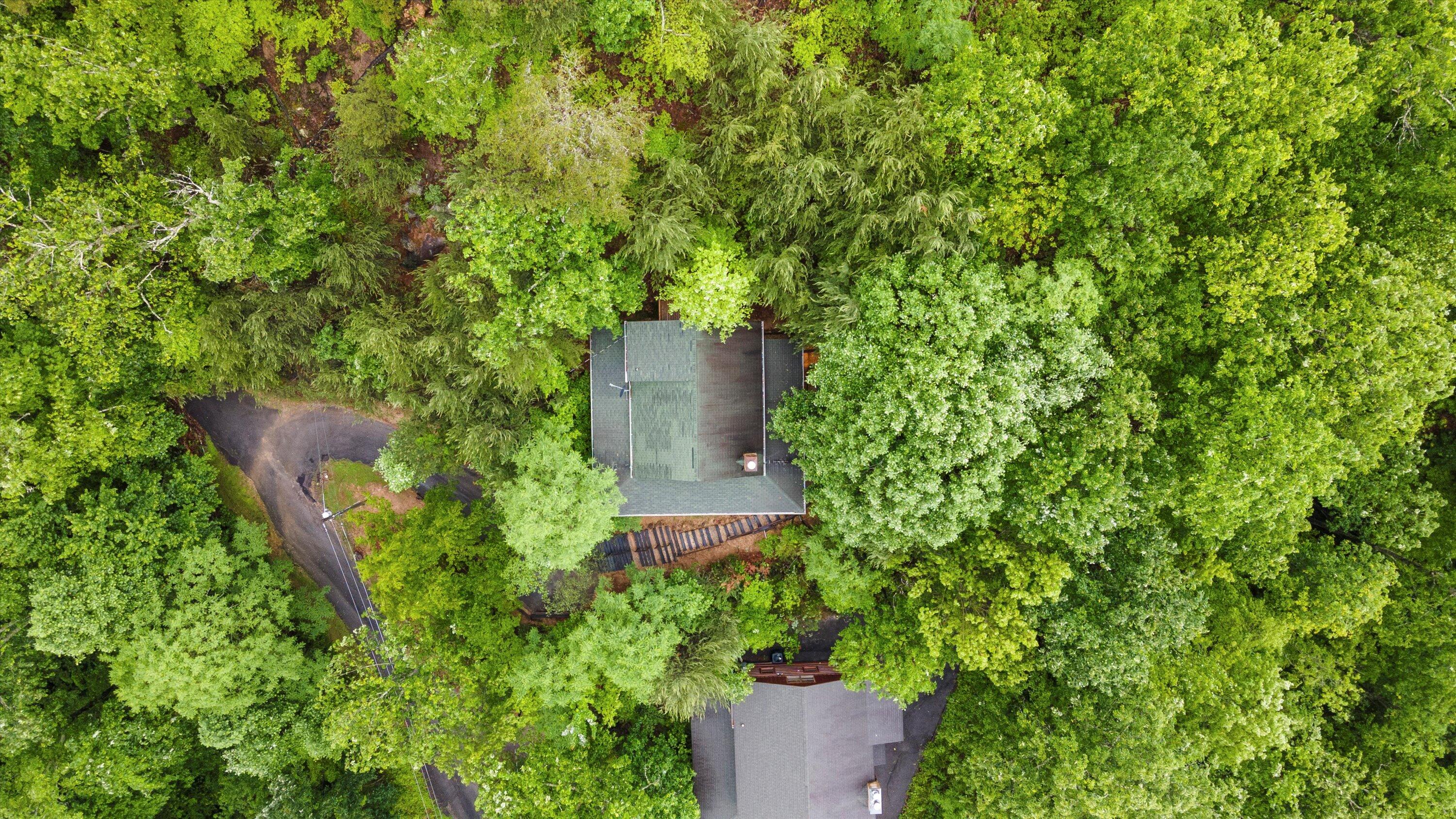 2126 Quail Run Way