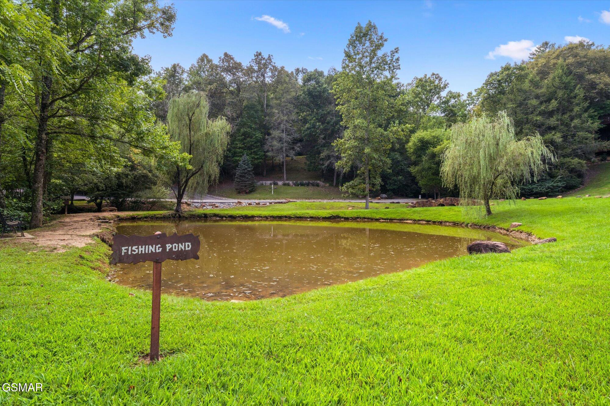 2615 Bear Crossing Way