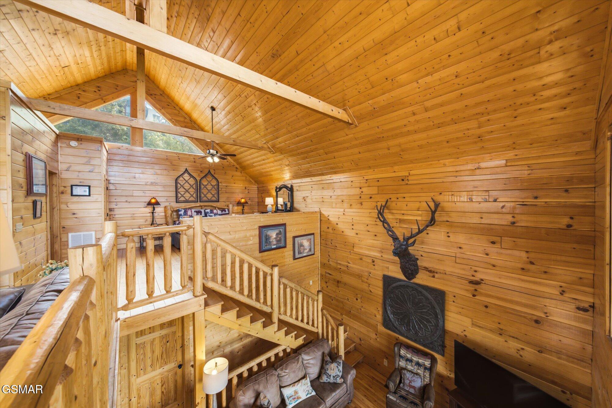 914 Black Bear Cub Way