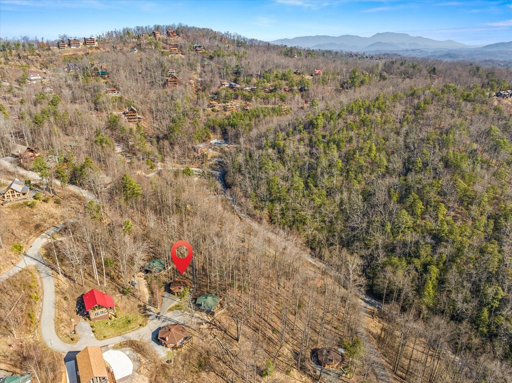 703 Maples Court