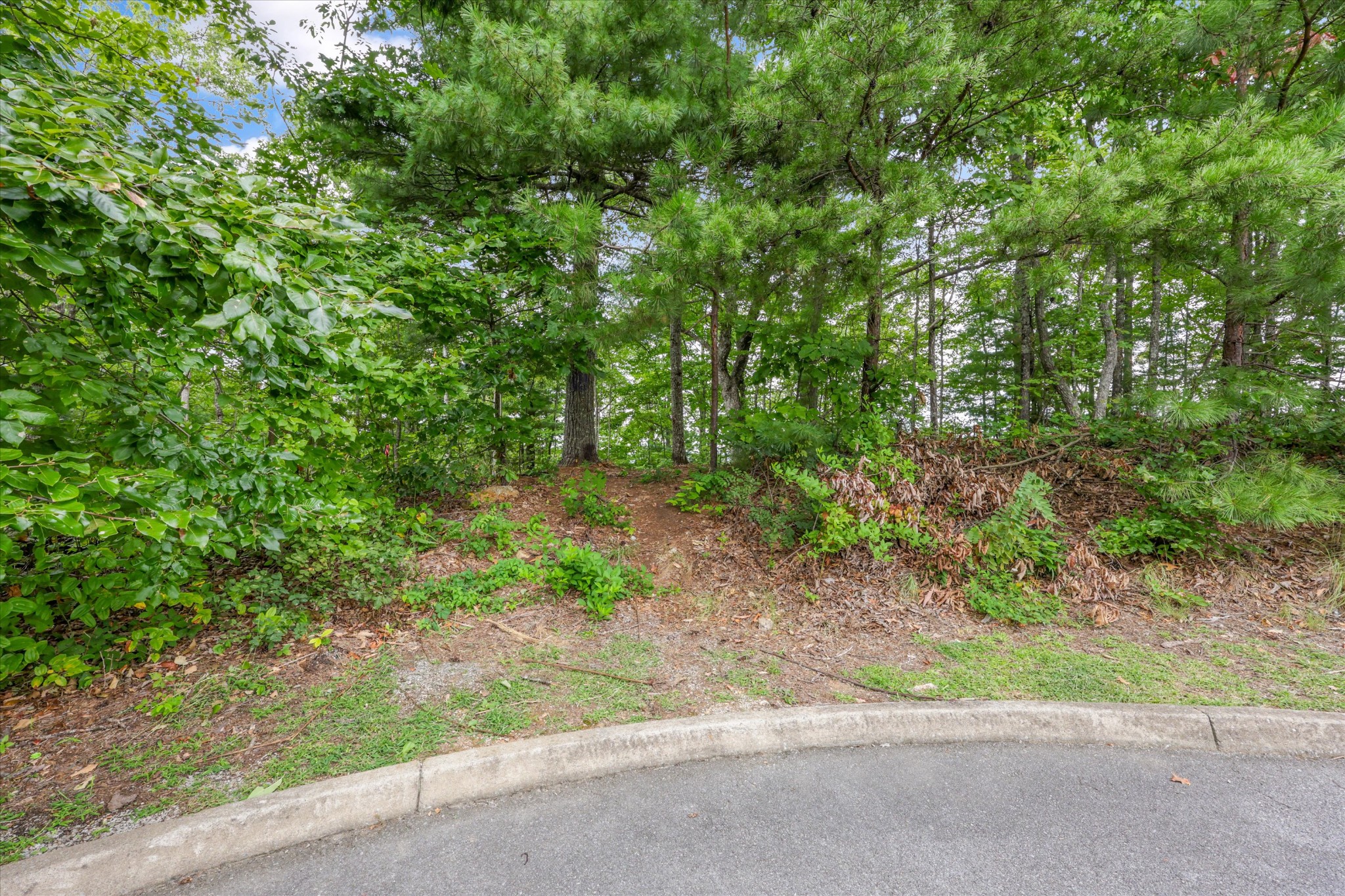 6R Overholt Trail
