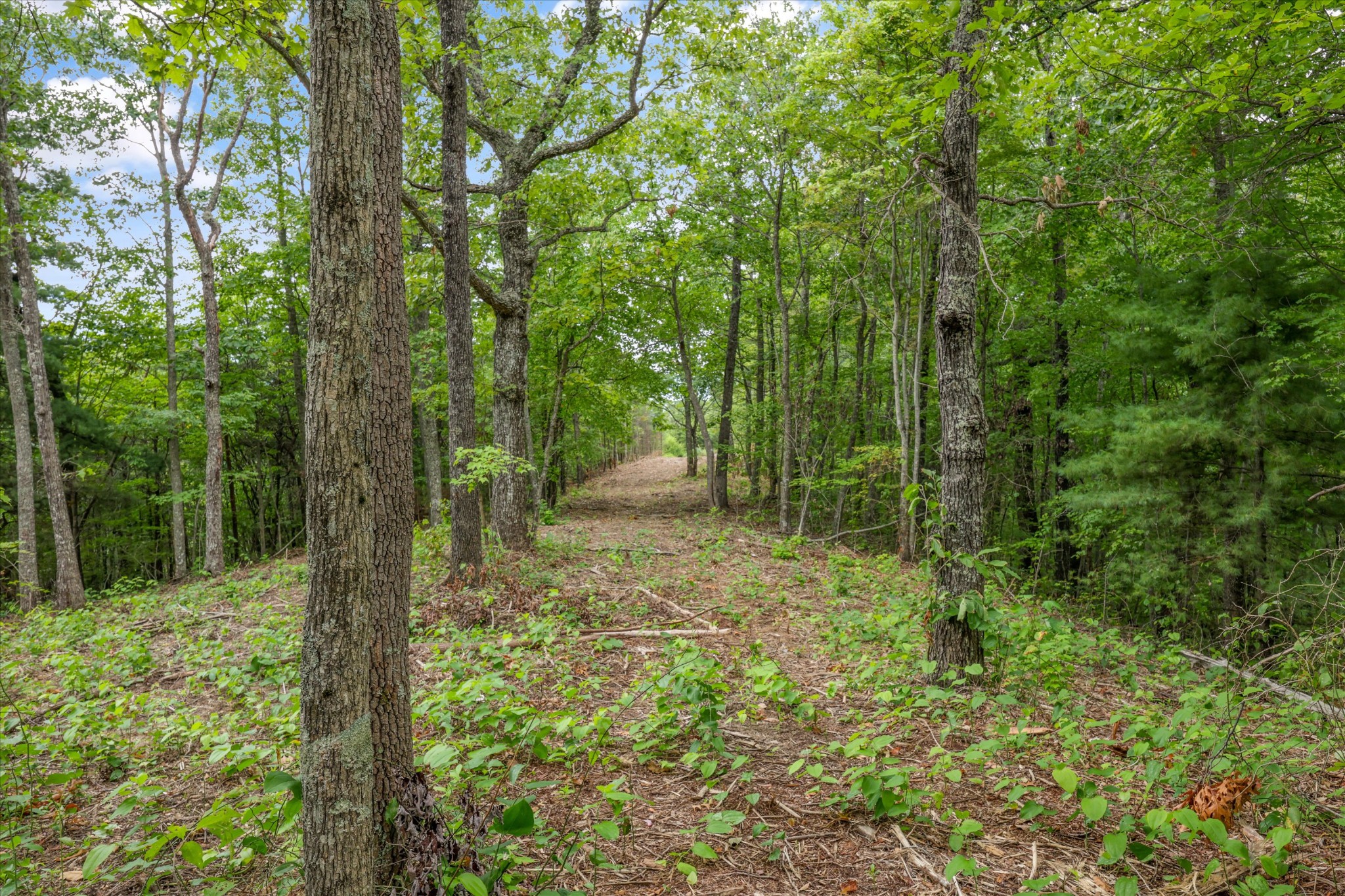 6R Overholt Trail