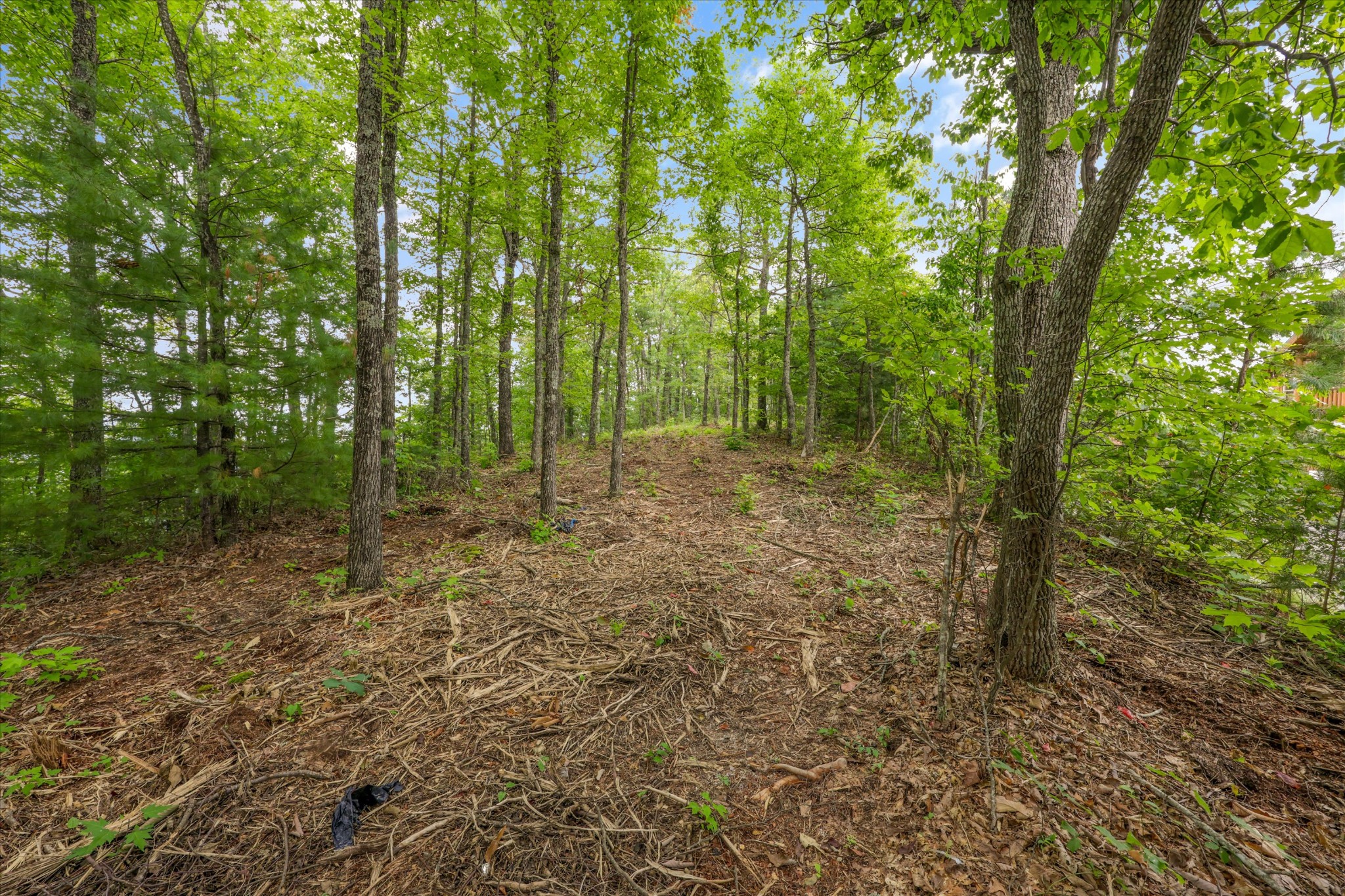 130 Setters View Lane