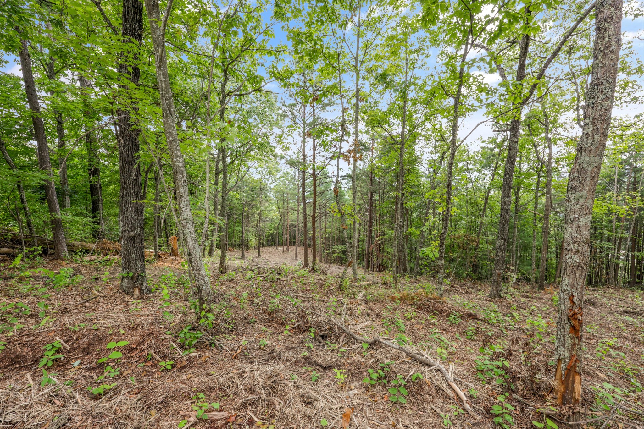 130 Setters View Lane