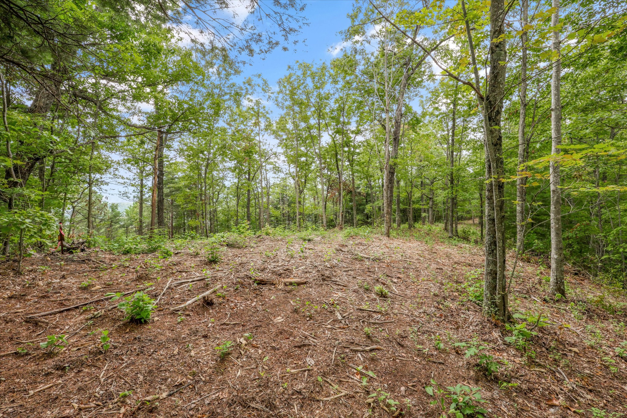 130 Setters View Lane