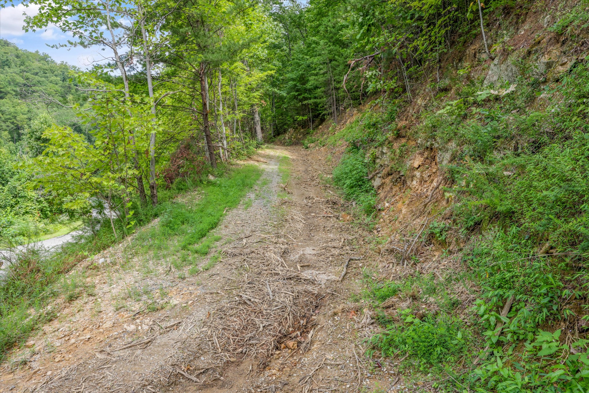 130 Setters View Lane