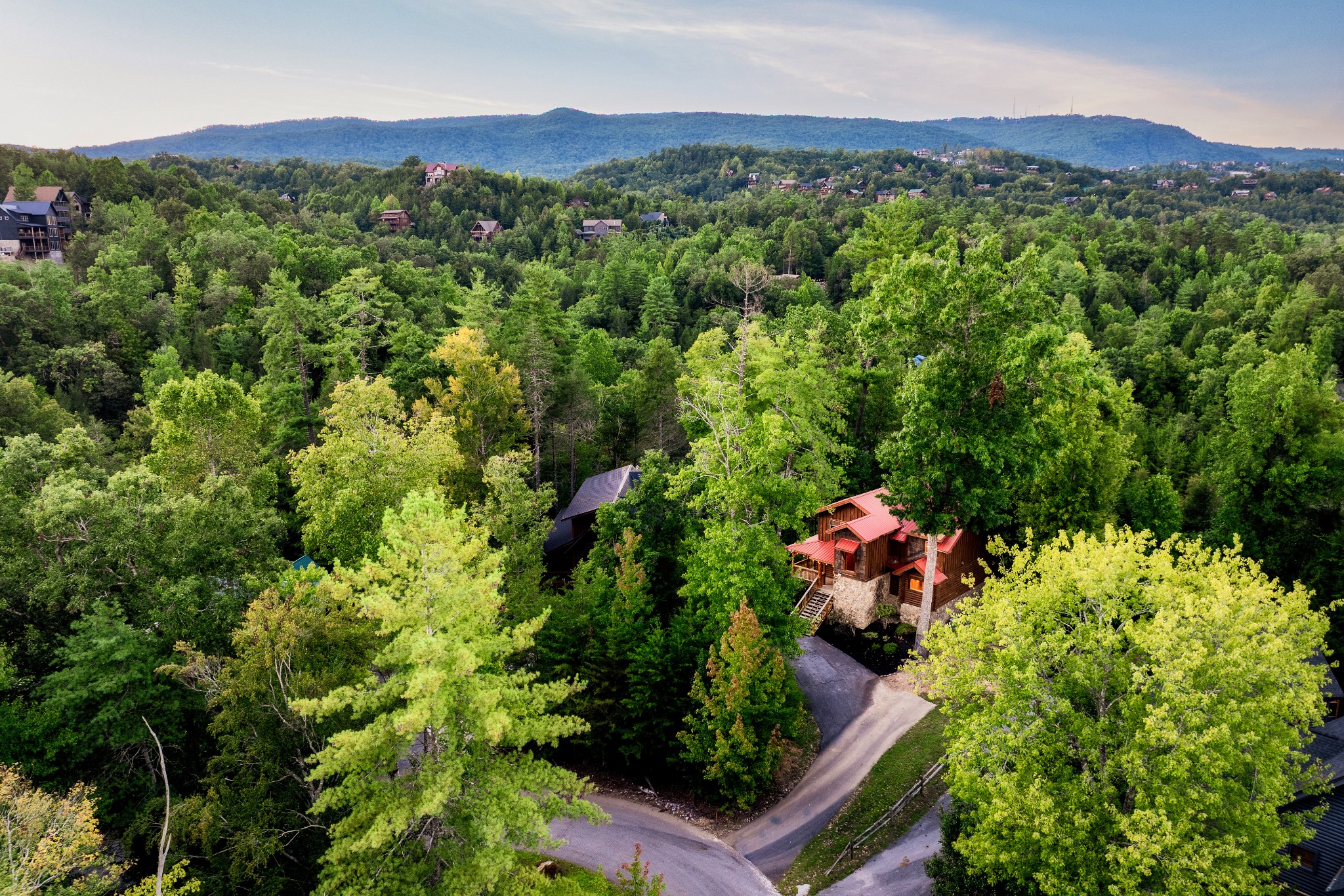 Wood-and-stone cabin nestled in dense forest, with a winding driveway and mountain ridge beyond.