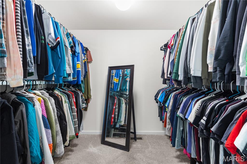 2542 Amber Willow Court