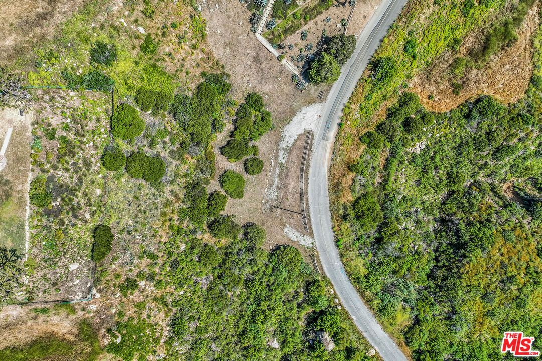 4421 Avenida De La Encinal