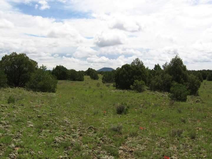 Lot 65-A Tierra Verde