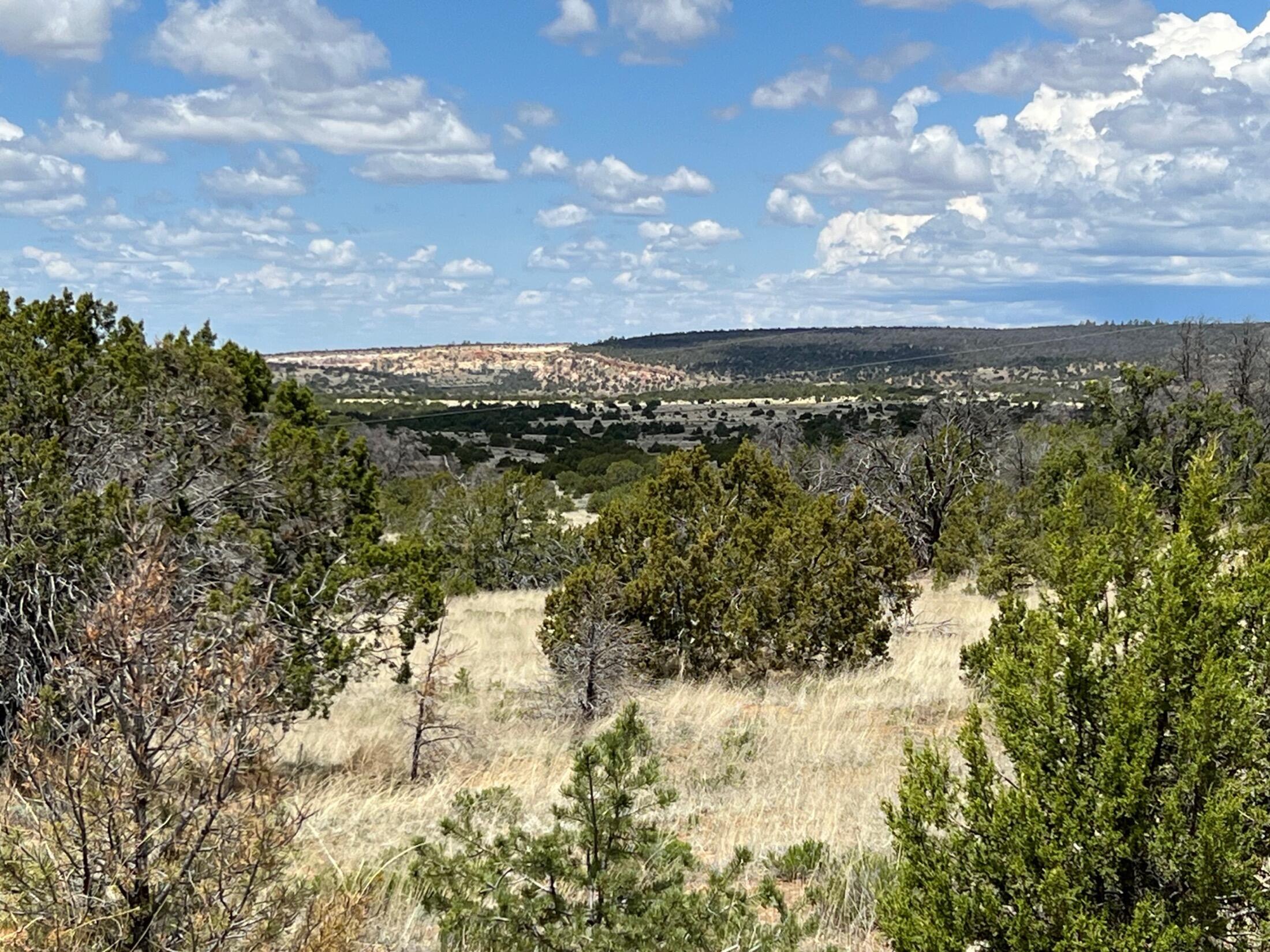Lot 306 Edgewood Drive 4