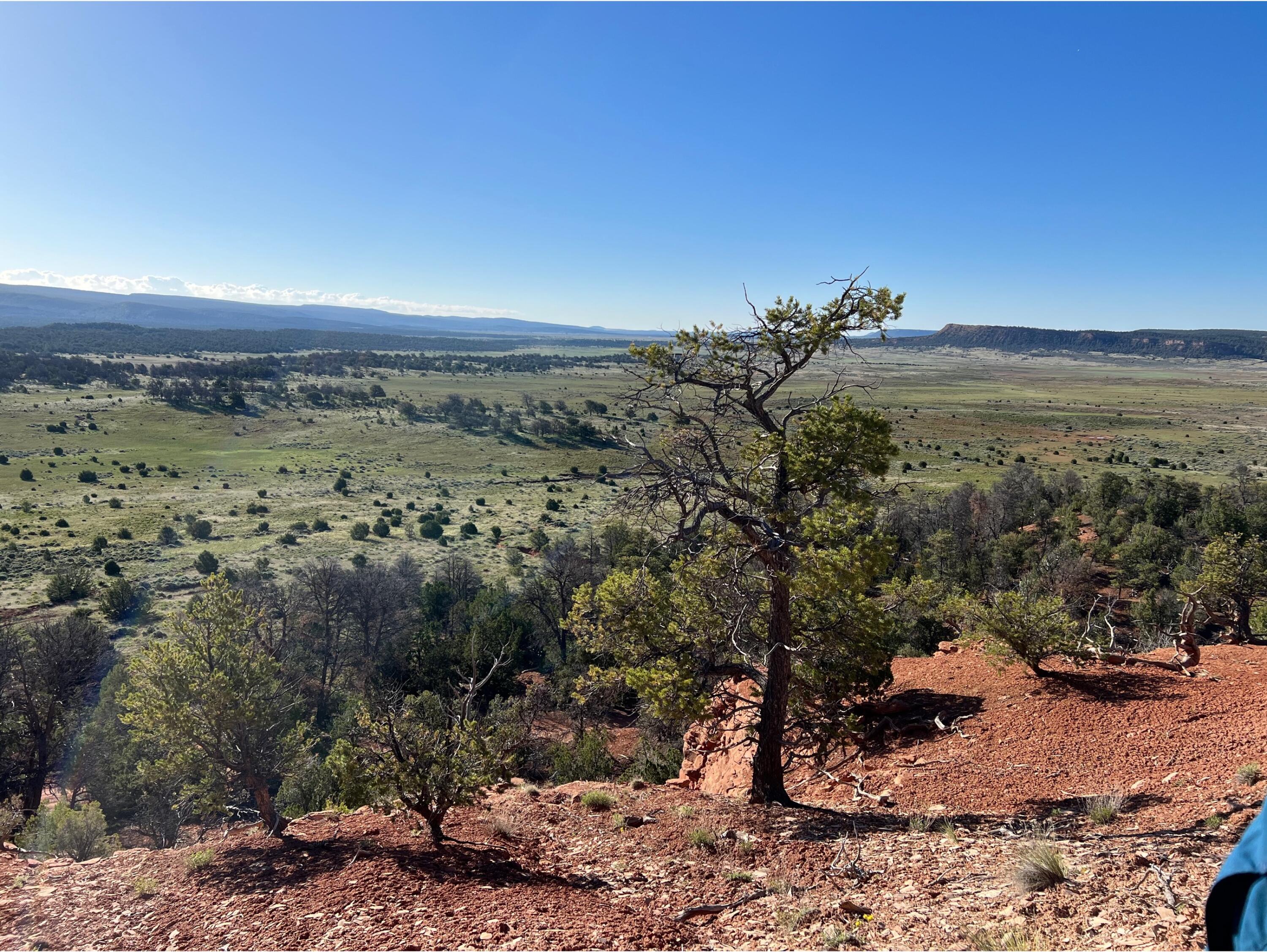 Lot 46 Green Meadow Drive